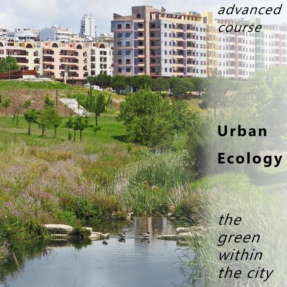 Urban ecology 17-18